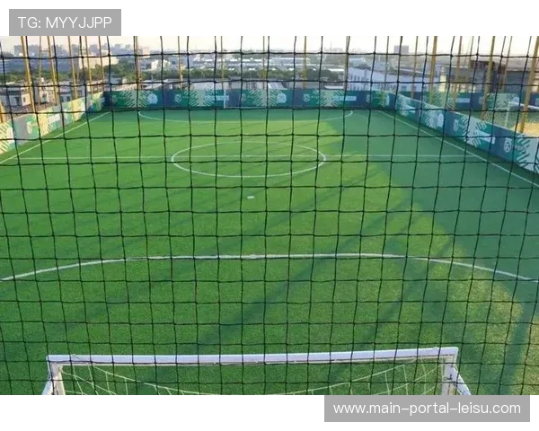 德国足协研究可闭合屋顶球场，应对天气不确定性